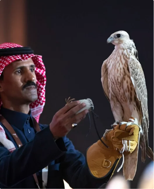 SUUDI Falcons EXPO